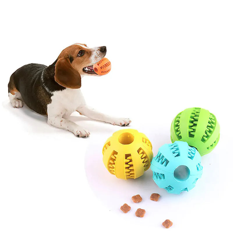 Bola de brinquedo para cães pequenos, elasticidade interativa, brinquedo de mastigar para limpeza dos dentes